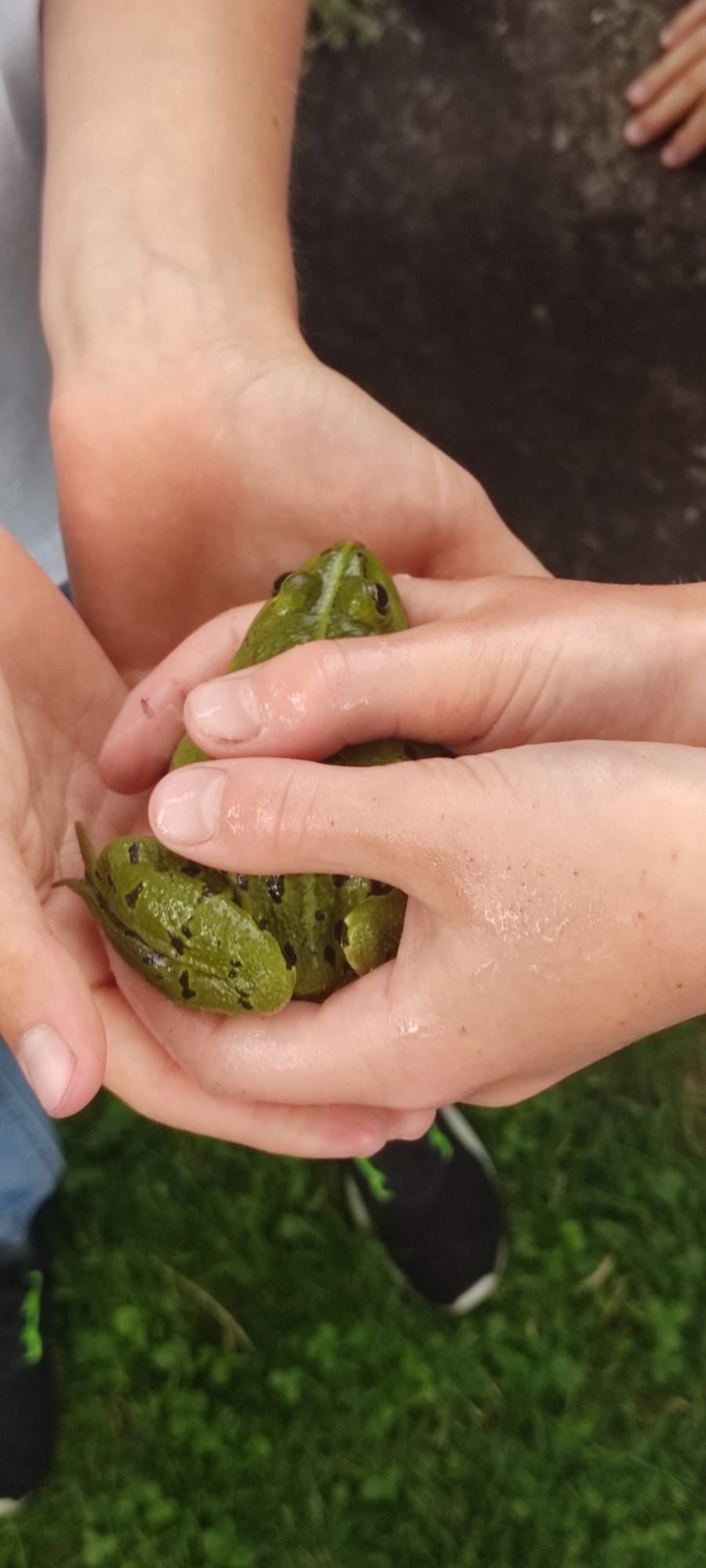 Warum Kinder Natur&nbsp;brauchen