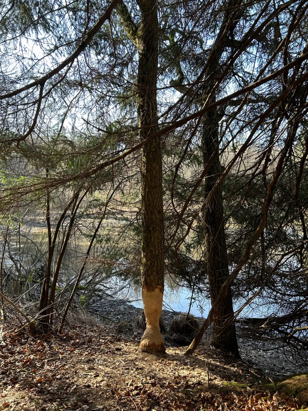 Die Kunst des Fragen&nbsp;stellen