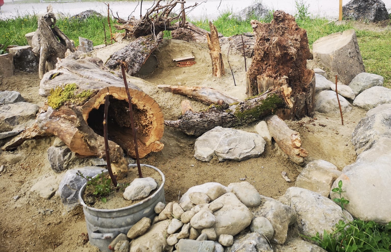 Naturnahe Gärten Teil 1: das Sandarium