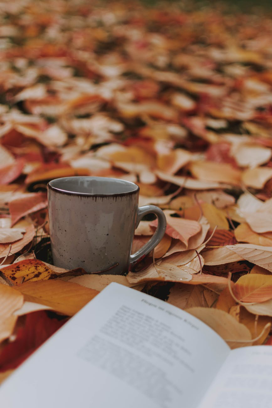 Neuanfang im Herbst – Verbindung und die Jahreszeiten