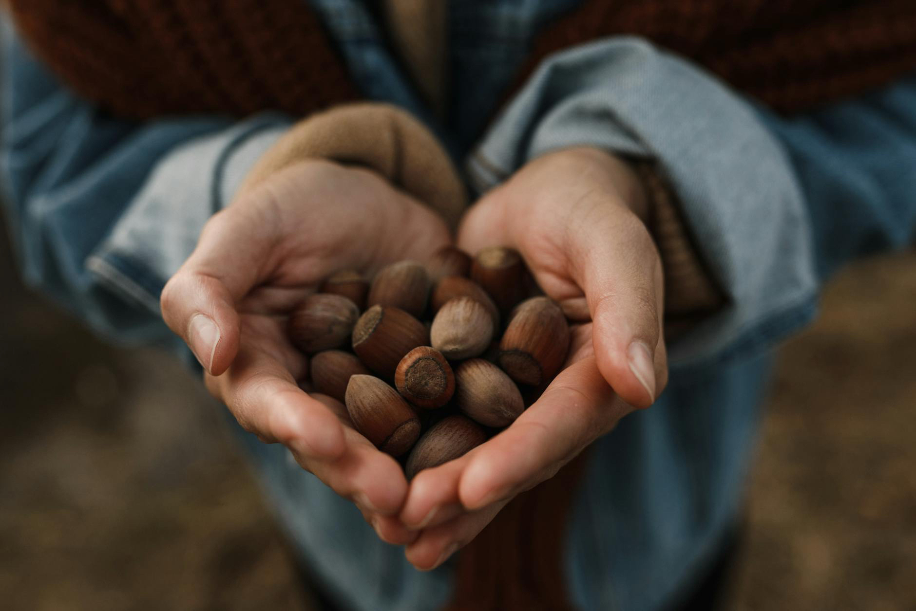 Herbstzeit ist Sammelzeit – Achtsamer Umgang mit den Schätzen der Natur