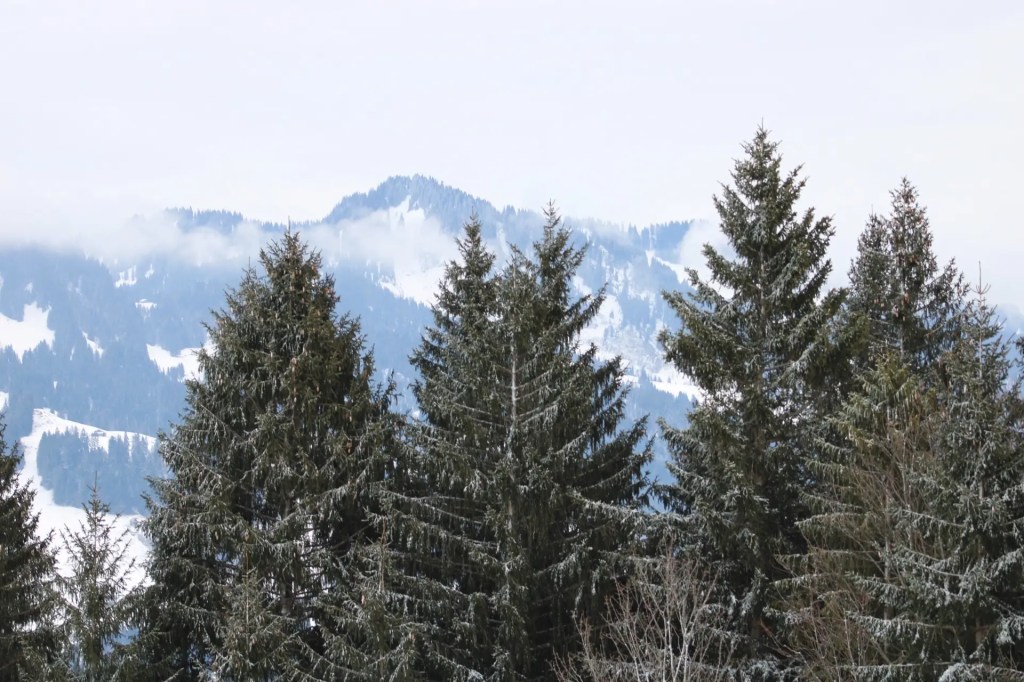 Einladung zu einem stillen&nbsp;Januar
