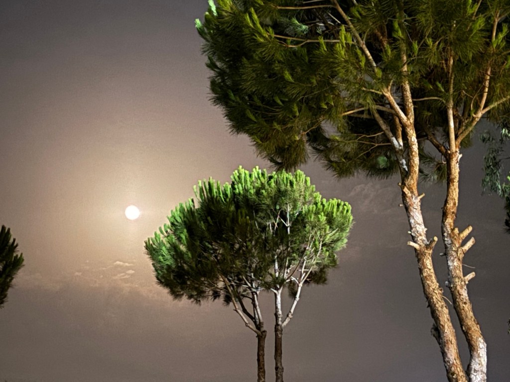 🌤 Himmel von überall entdecken – eine Woche Wolkenforscherinnen