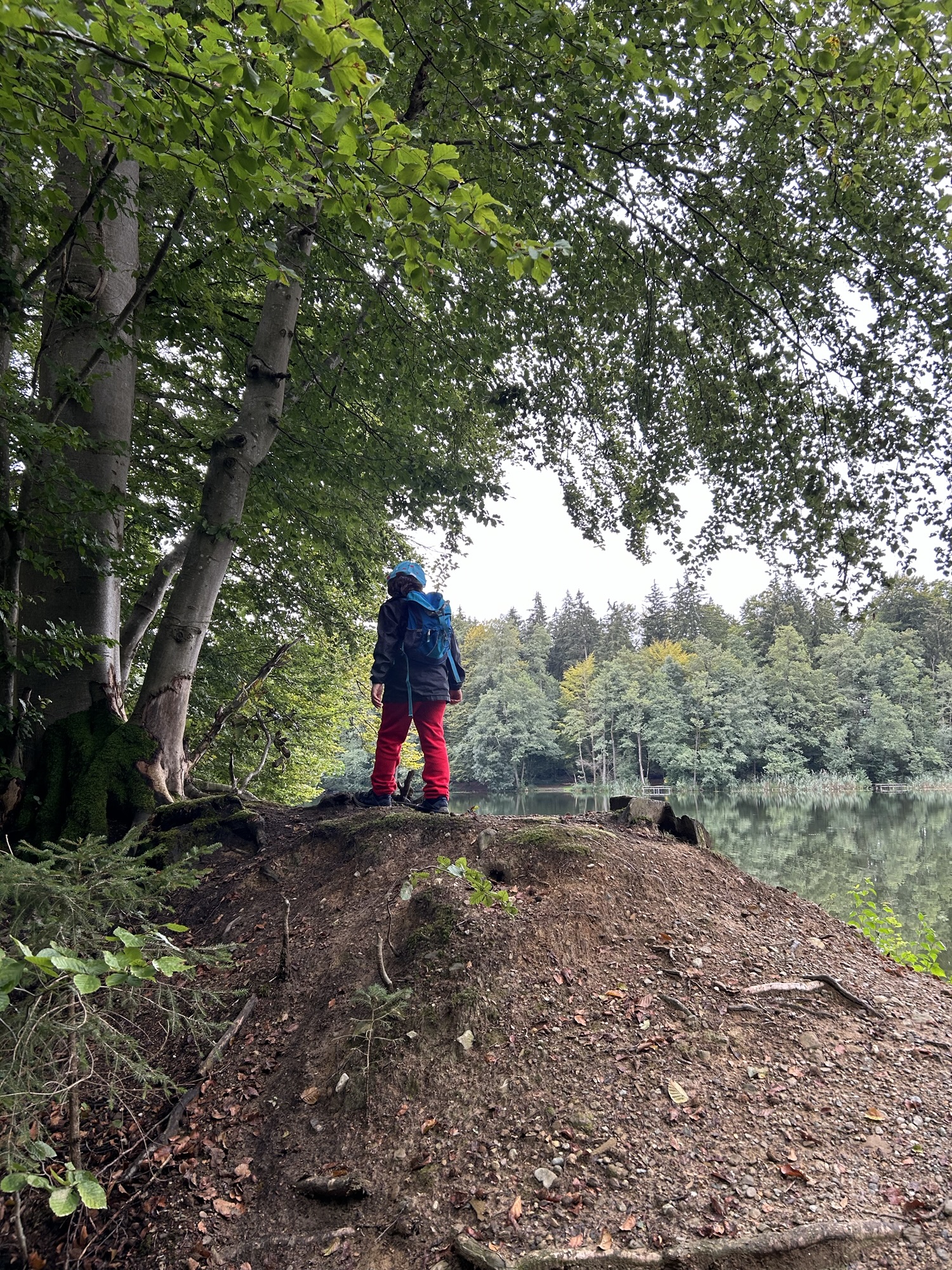 Allein im Wald – und plötzlich ist da Angst: Wie ich gelernt habe, mich sicher zu fühlen