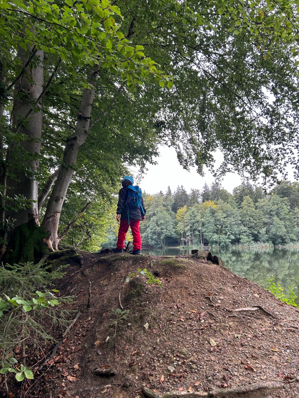 Allein im Wald – und plötzlich ist da Angst: Wie ich gelernt habe, mich sicher zu&nbsp;fühlen