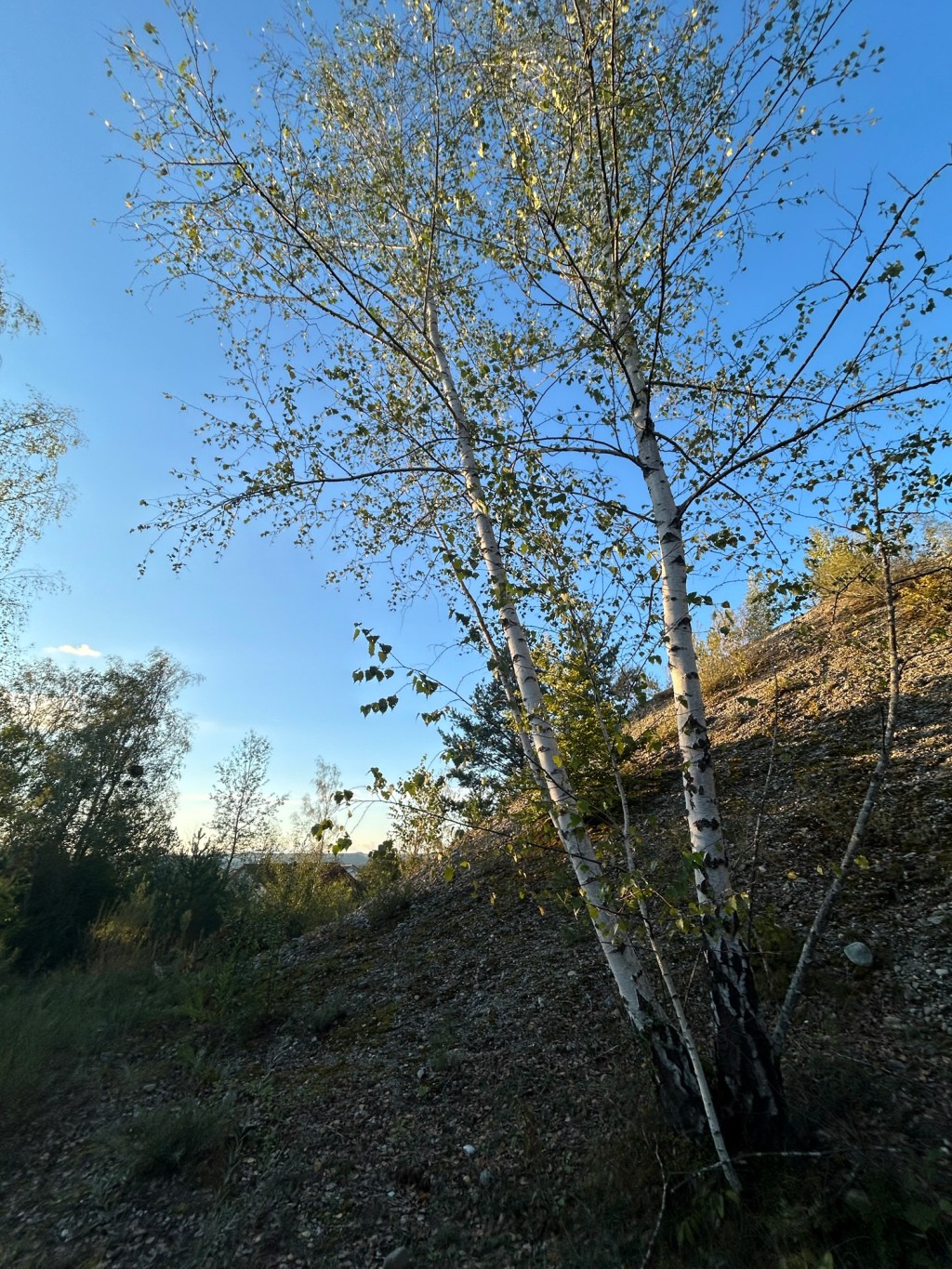 Sitzplatz-Magie: mit Kindern und alleine in Verbindung&nbsp;gehen