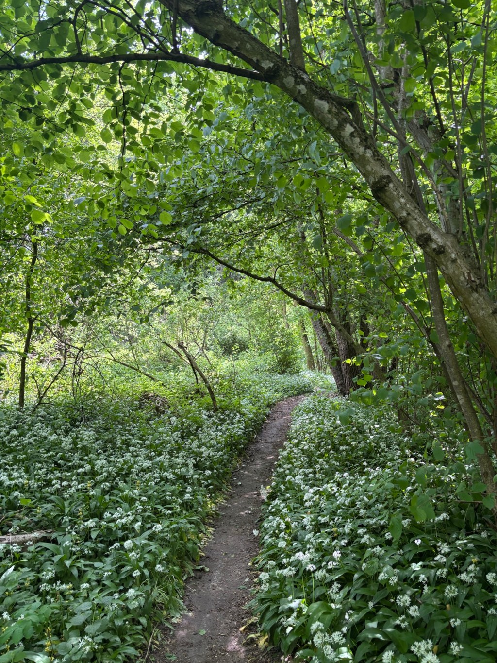 Authentizität und Naturverbindung