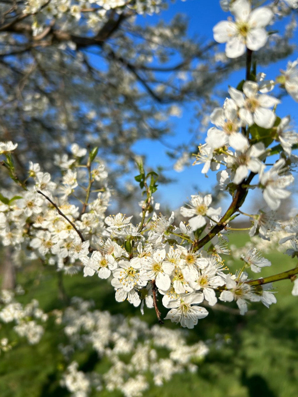 Der März – ein Monat voller&nbsp;Kontraste