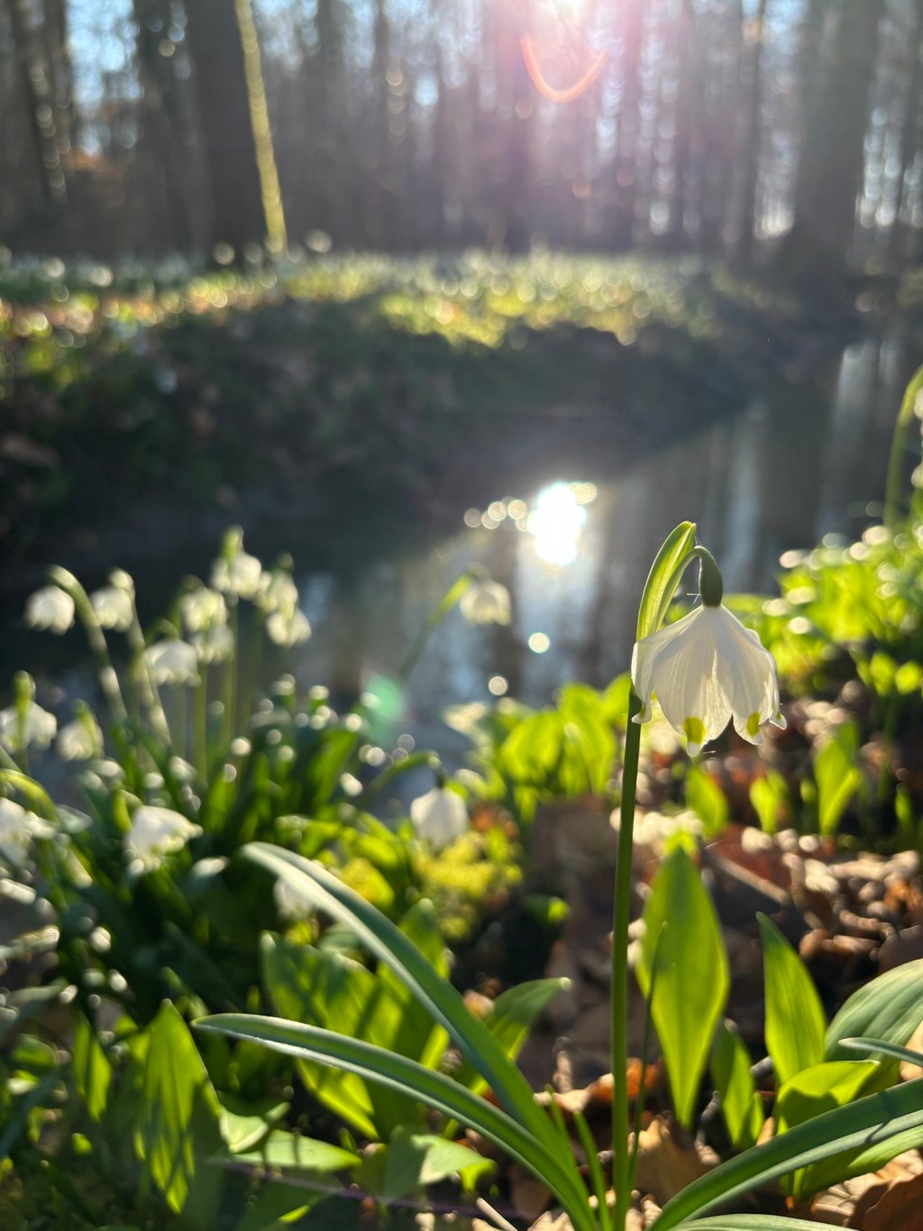 Mentale Klarheit – warum Schreiben dein Nervensystem&nbsp;reguliert