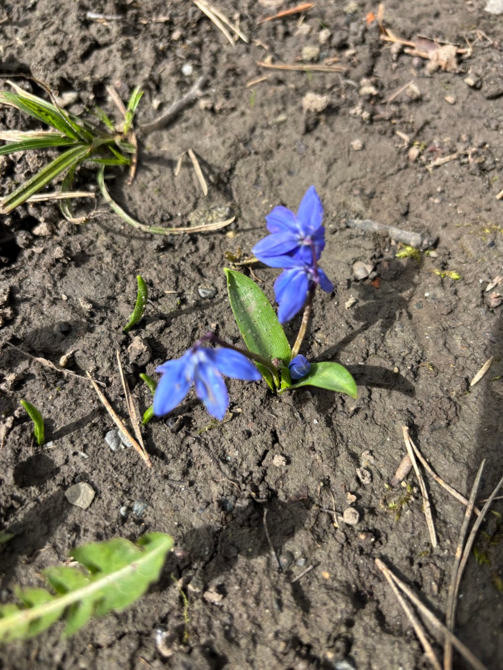Warum ein einziges Stück Boden manchmal genügt