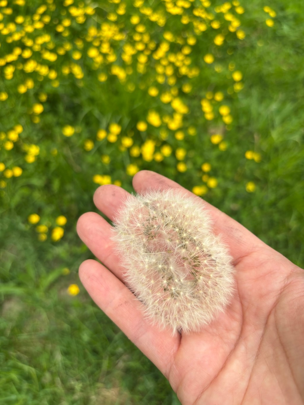 7 DIY-Ideen für einen naturnahen Garten mit&nbsp;Kindern